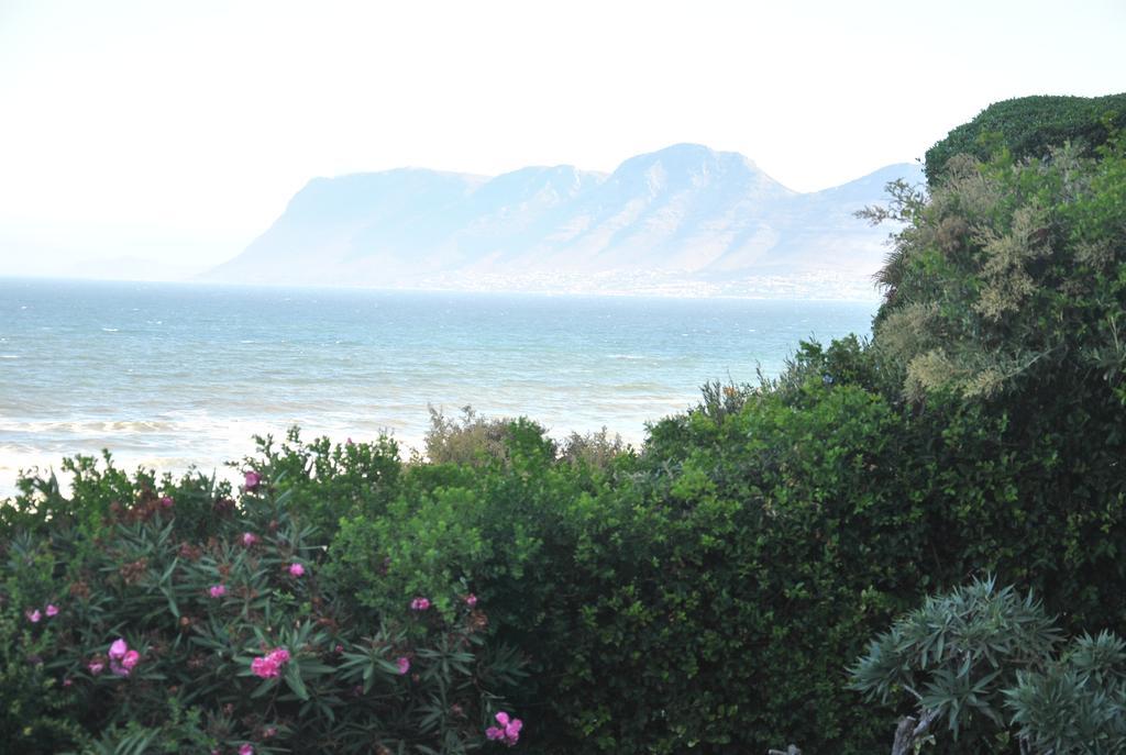 Seaview Apartment In Muizenberg Exteriér fotografie